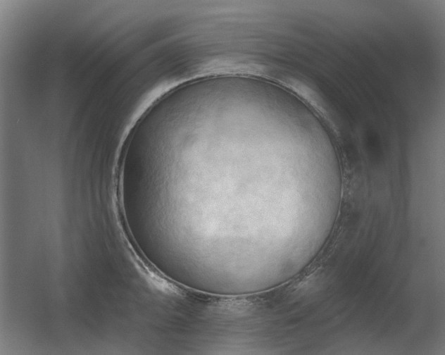 X0000060561094200511031236