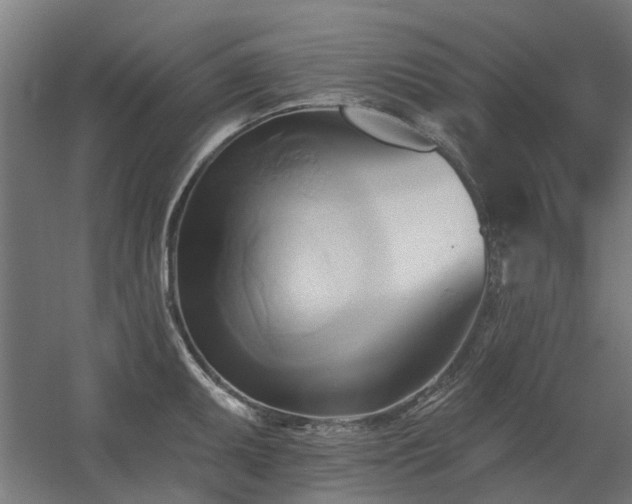 X0000060561095200511031236