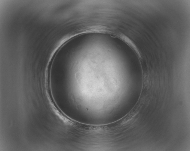 X0000060561099200511031236