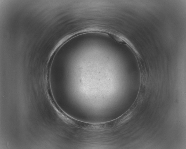 X0000060561101200511031236