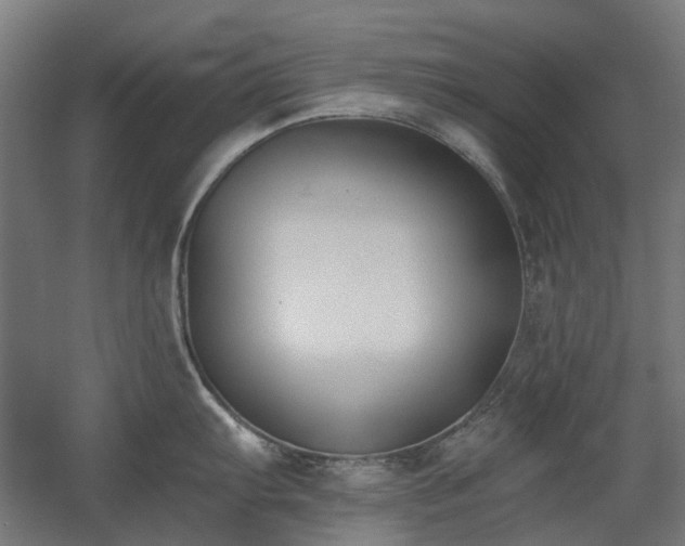 X0000060561103200511031236