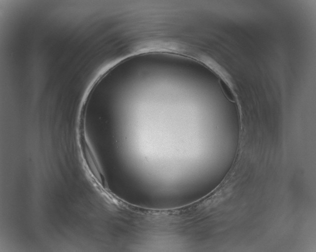 X0000060561104200511031236