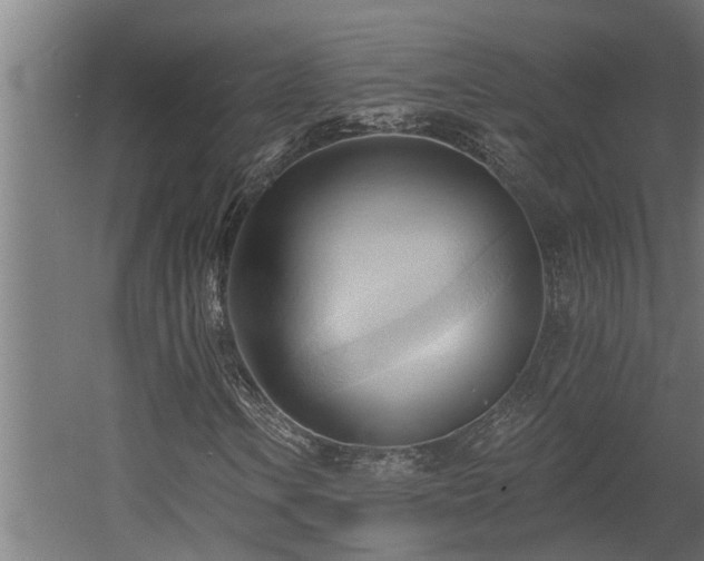 X0000060561106200511031235
