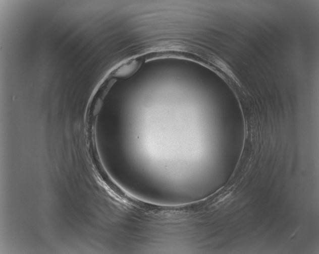 X0000060561116200511031236