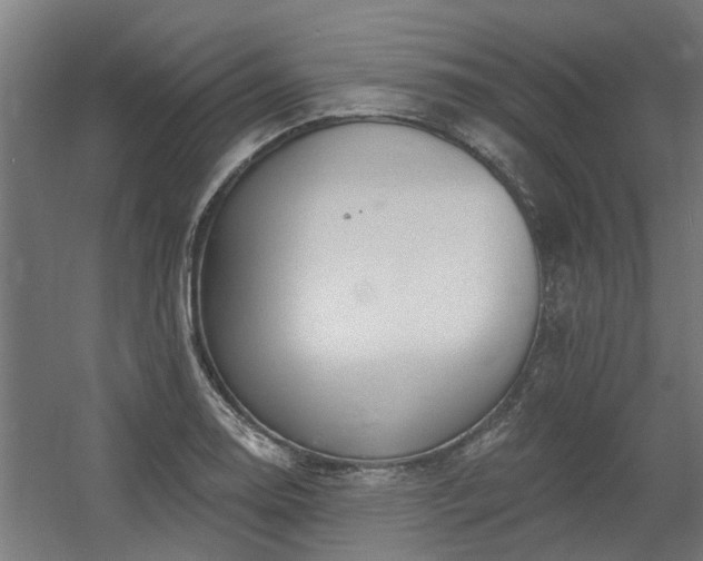 X0000060561130200511031236