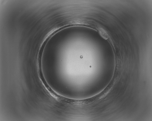 X0000060561141200511031236