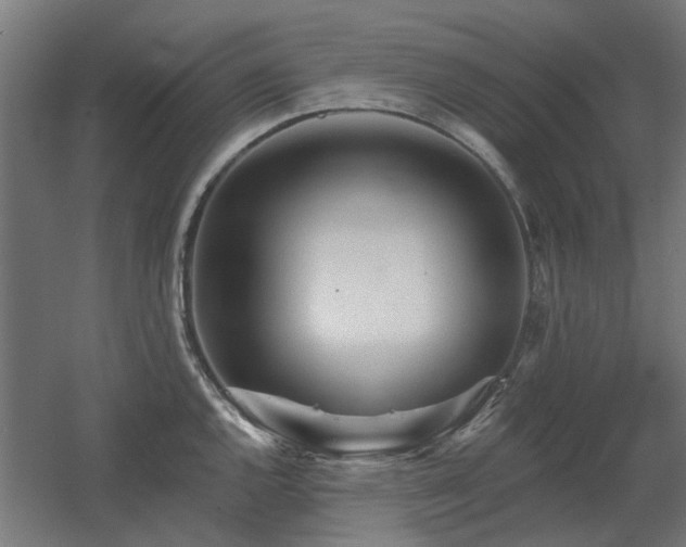 X0000060561144200511031236