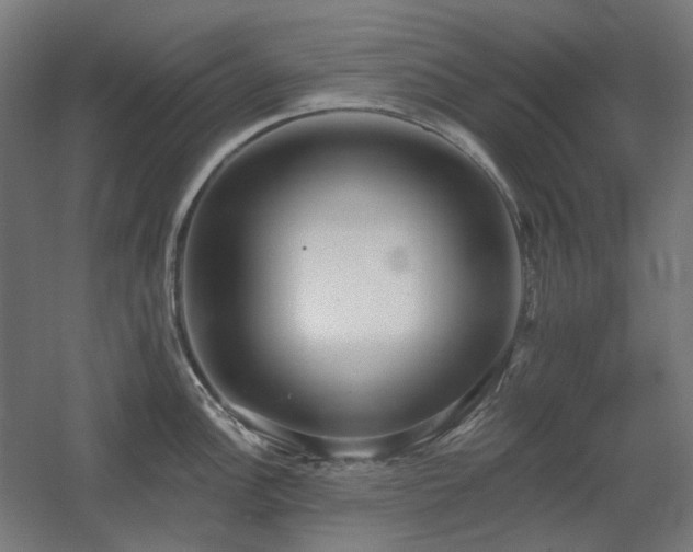 X0000060561148200511031236