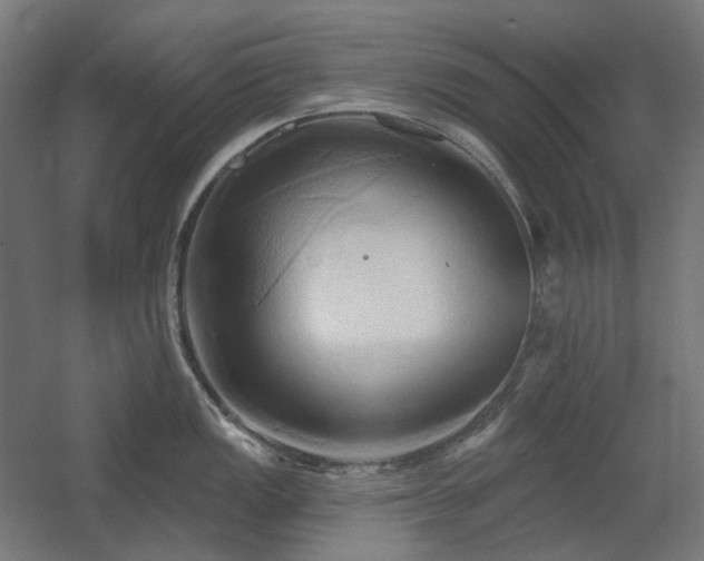 X0000060561149200511031236