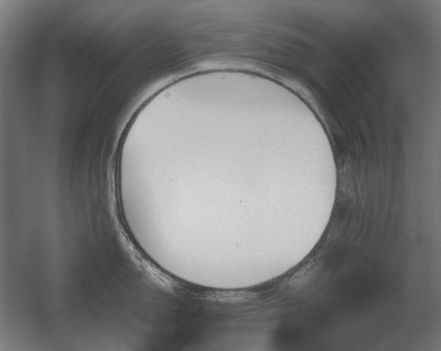 X0000060561150200511031236