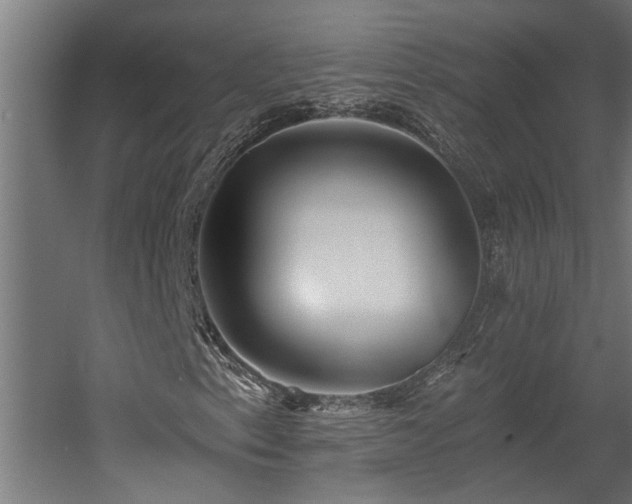 X0000060561153200511031235