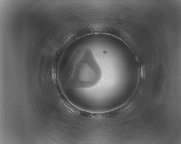 X0000060561155200511031235