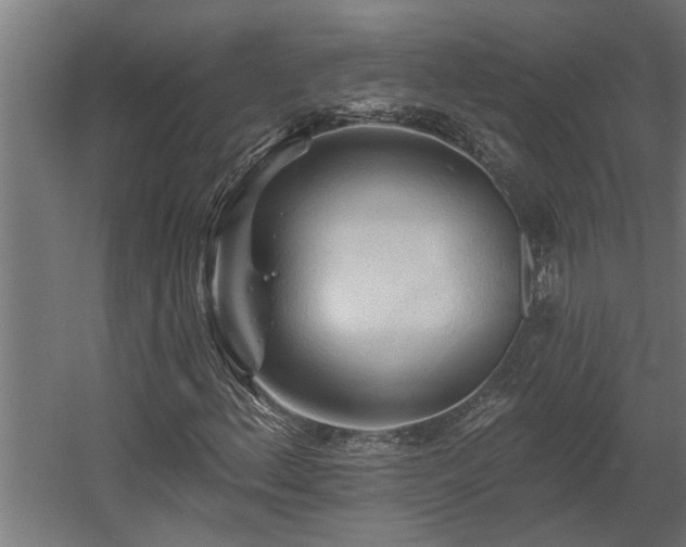 X0000060561156200511031235