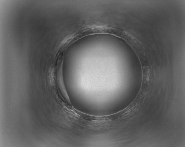 X0000060561157200511031235