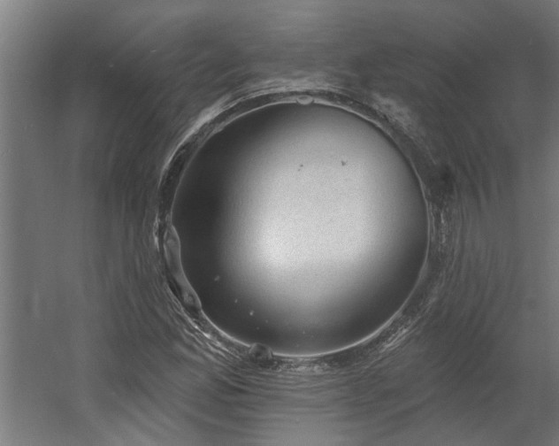 X0000060561165200511031235