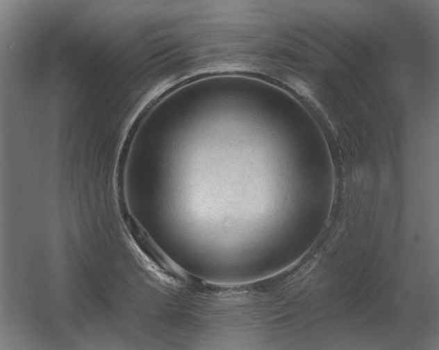 X0000060561181200511031235
