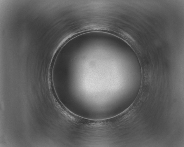 X0000060561182200511031235