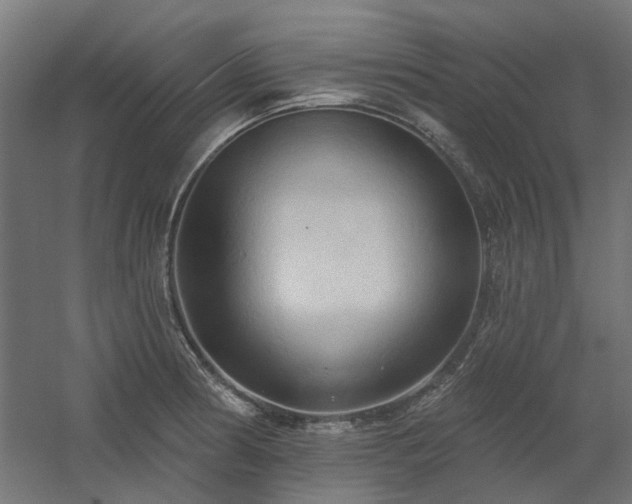 X0000060561186200511031235