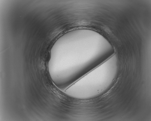 X0000060561209200511031234
