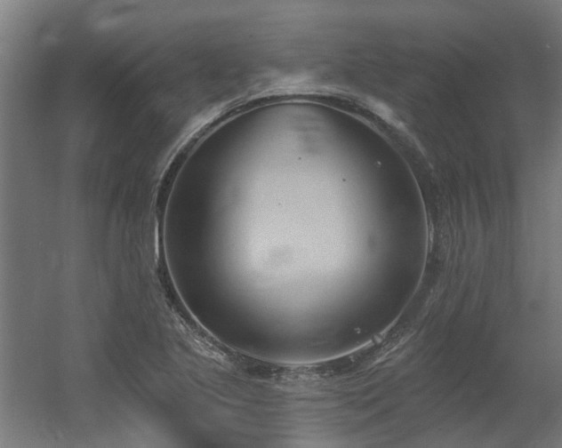 X0000060561221200511031234