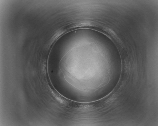 X0000060561225200511031234