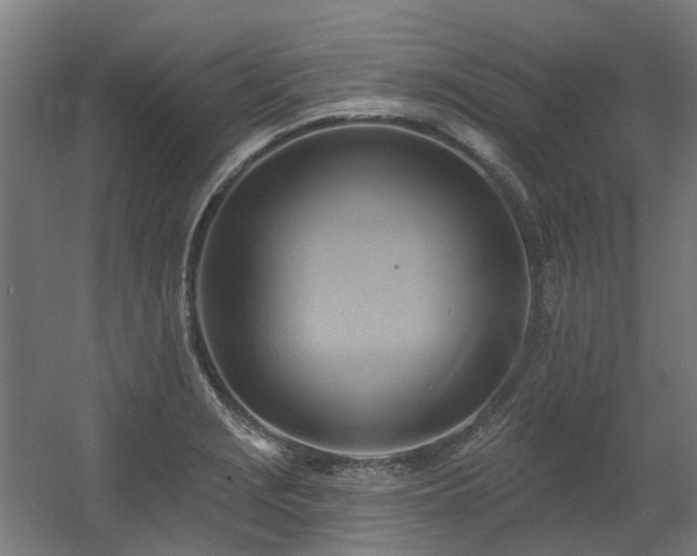 X0000060561229200511031234