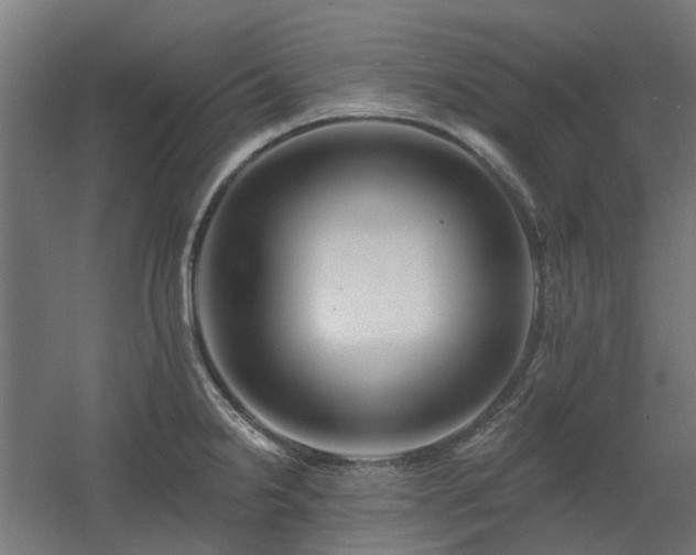 X0000060561238200511031234
