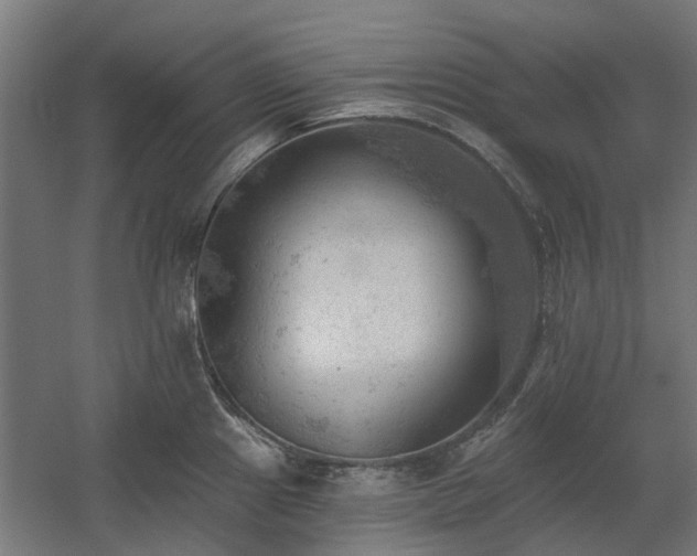 X0000060561241200511031234