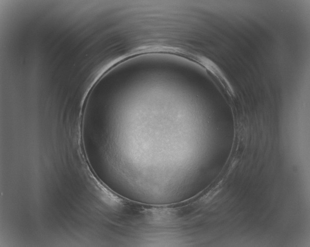 X0000060561244200511031235