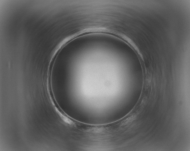 X0000060561245200511031235