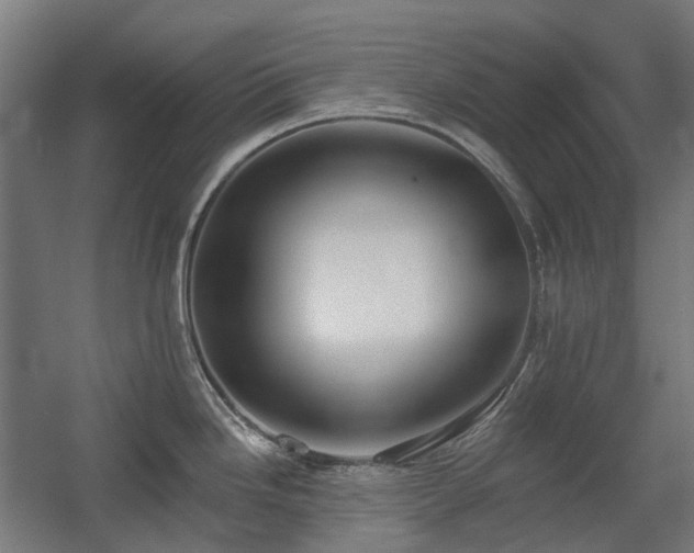X0000060561246200511031235
