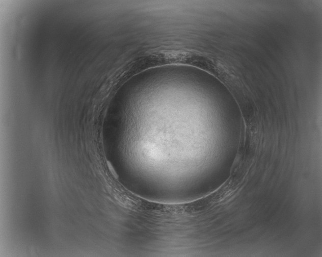 X0000060561249200511031234