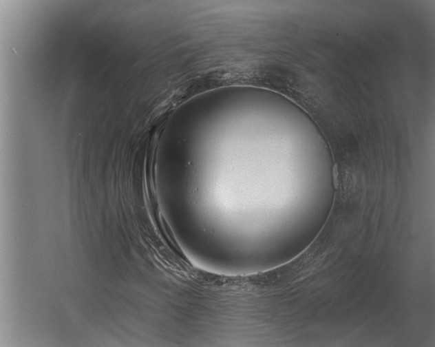 X0000060561250200511031234
