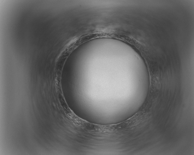 X0000060561254200511031234