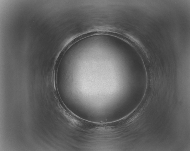 X0000060561272200511031233