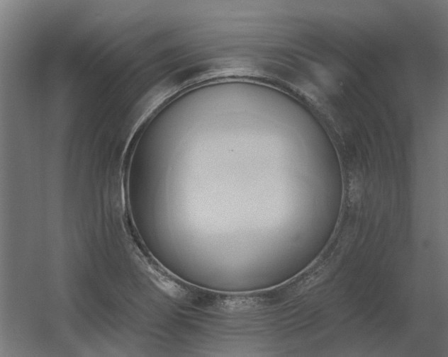 X0000060561274200511031233