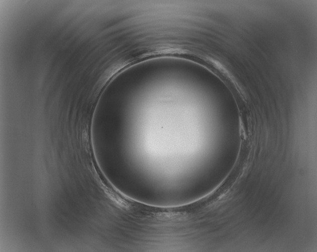 X0000060561281200511031233