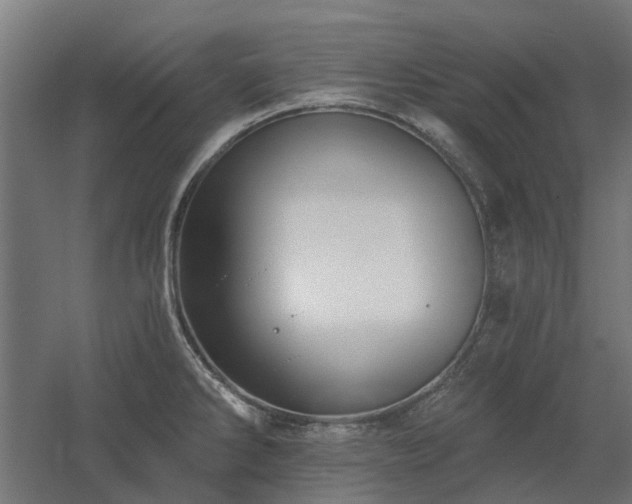 X0000060561286200511031233