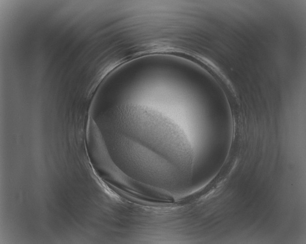 X0000060561289200511031233