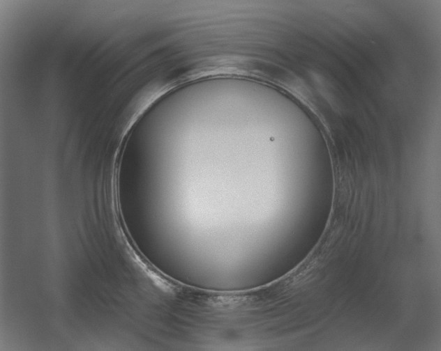 X0000060561290200511031233