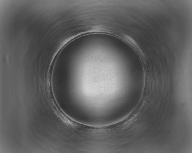 X0000060561292200511031233