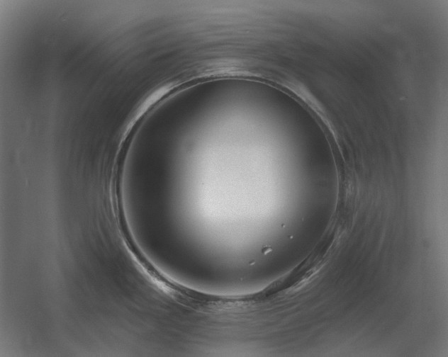 X0000060561293200511031233