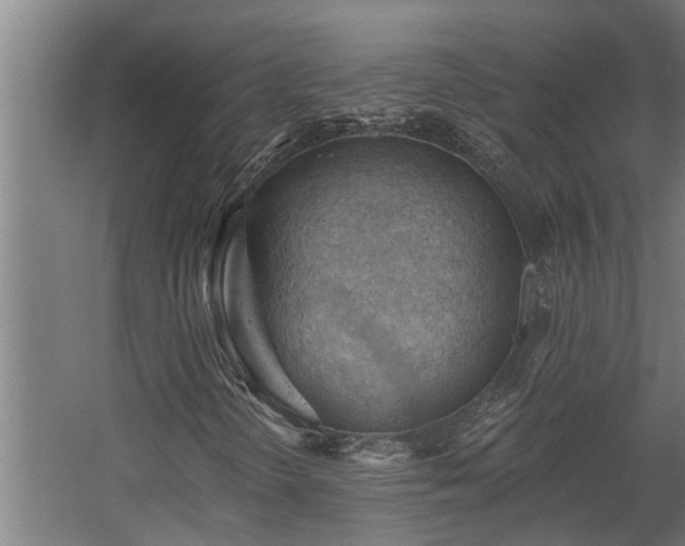 X0000060561298200511031232