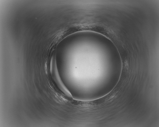 X0000060561300200511031232