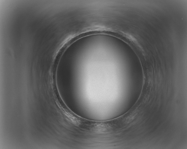 X0000060561318200511031232