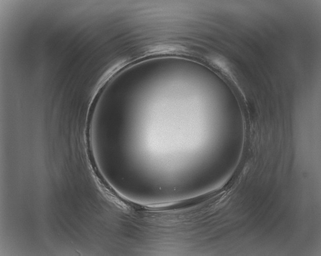 X0000060561330200511031233