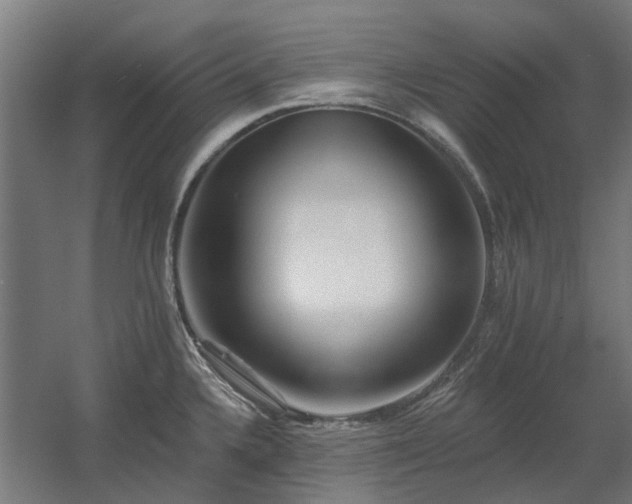 X0000060561336200511031233