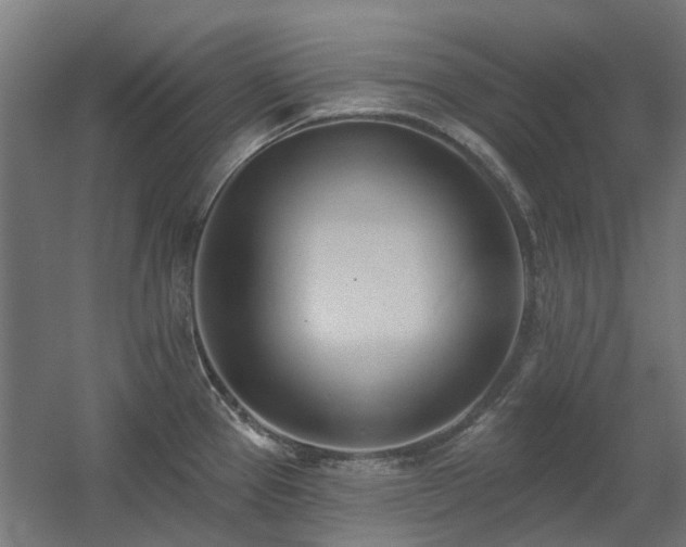X0000060561337200511031233