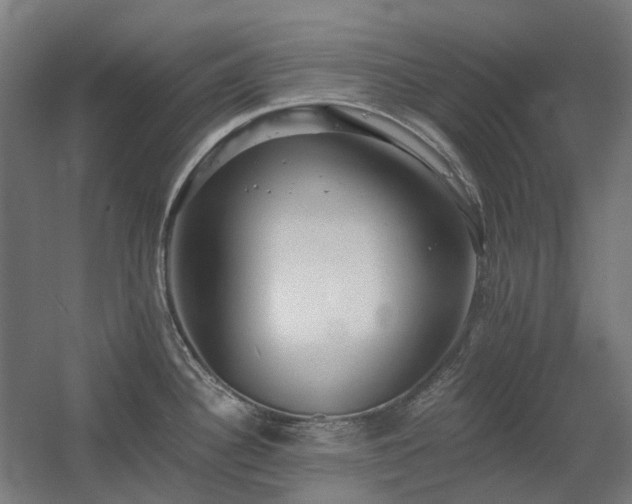 X0000060561340200511031233