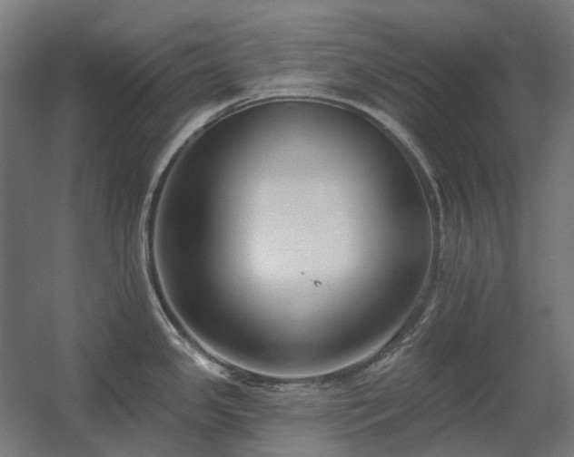 X0000060561341200511031233